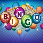 What to Look for When Choosing the Best Bingo Website