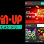 Pin Up Casino App: How to Customize Your Experience