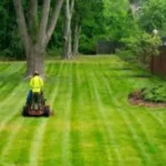 How Skilled Lawn Care Technicians Improve Turf Health Year-Round