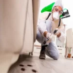 Choosing the Right Pest Control Company: A Quick Guide