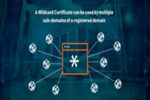 Certificate Wildcard: Secure Your Sub domains easily