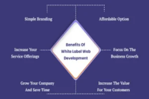 Practical Benefits of White Label Website Builders for Hosting Companies 