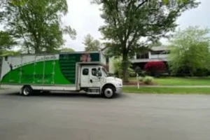 Boston Local Moving Companies: A Complete Guide for Choosing Reliable Movers