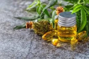 Common Mistakes Buyers Make When Choosing THCa Flower