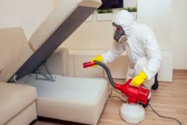 How To Pest-Proof Your Home Before Peak Infestation Season