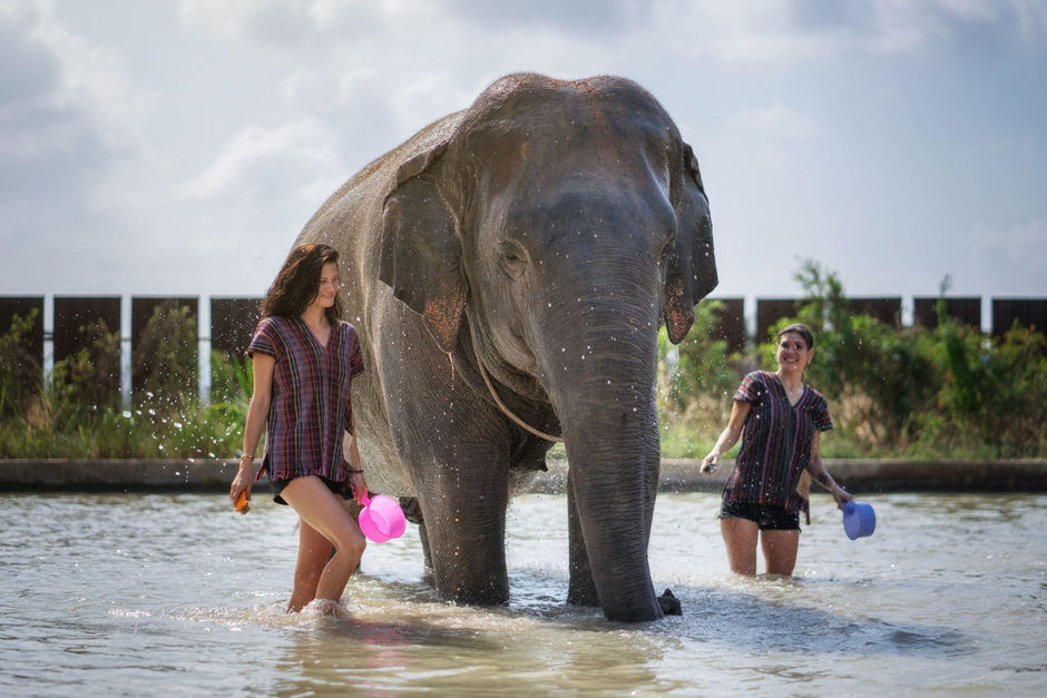 top Things To Do In Pattaya