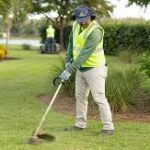 What Homeowners Should Know About Pest Control In Richmond