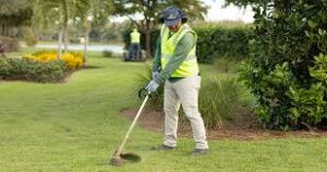 What Homeowners Should Know About Pest Control In Richmond