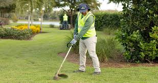 What Homeowners Should Know About Pest Control In Richmond