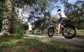 Essential Electric Bike Maintenance Tips To Keep Your E-Bike Running Smoothly