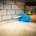 The Hidden Entry Points Pests Use Around the Home