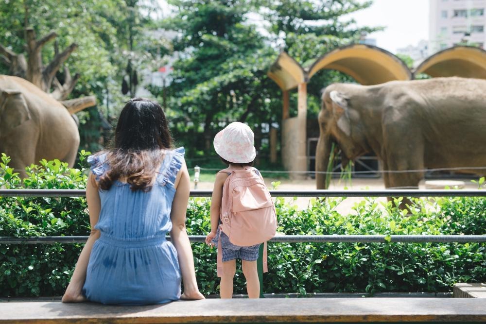 things to do in Bangkok with kids