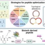 Kensington Laboratories: UK Research Peptides Across Six Areas of Research
