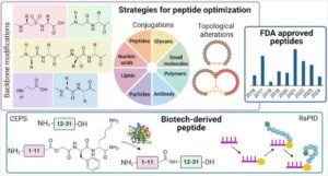 Kensington Laboratories: UK Research Peptides Across Six Areas of Research